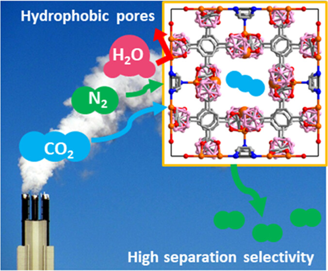 Adsorptive Separation of CO2 by a Hydrophobic Carborane-Based Metal–Organic Framework under Humid Conditions
