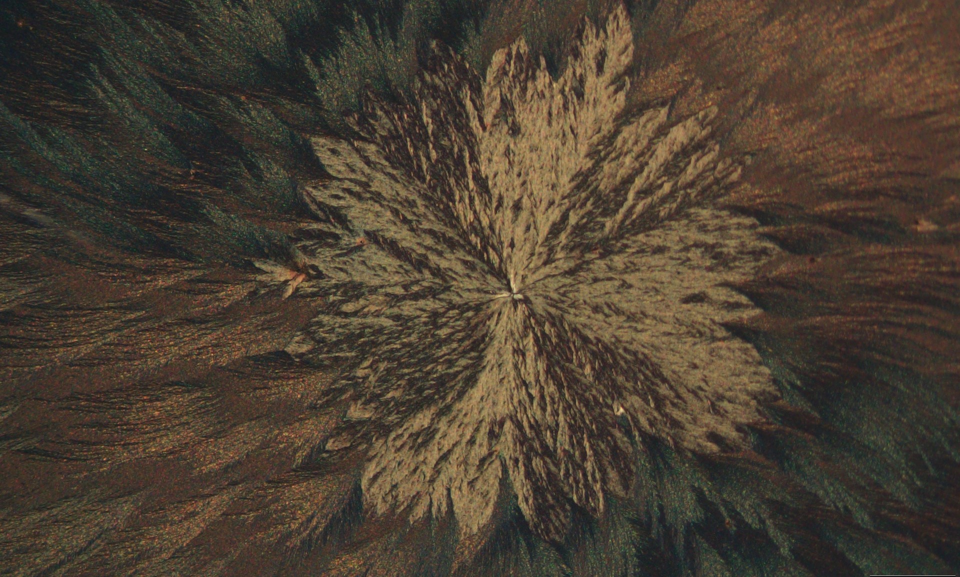 Afroditi Koutsogianni and Giulia Pancotti